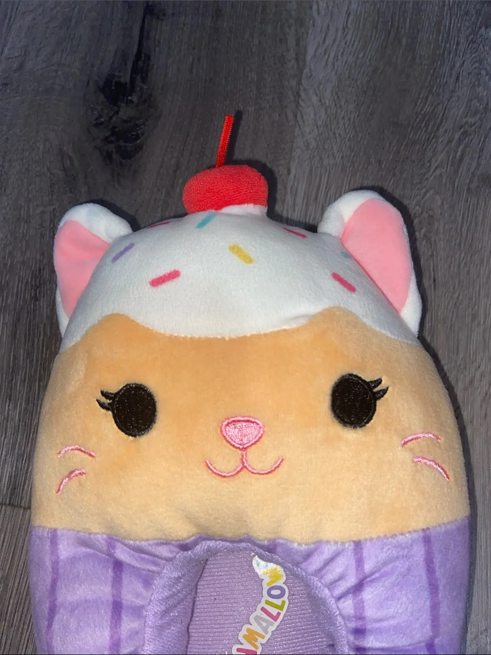 Squishmallows Cupcake Cat Plush Slippers Kids Size 2-3 Soft Cozy Cute